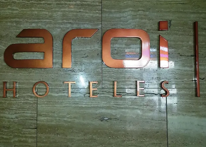 Aroi Bierzo Plaza 호텔 3*